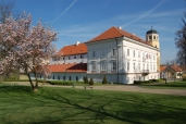 Igráček v podobě Blanického rytíře bude střežit rodinnou výstavu na zámku Vlašim