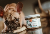 Novinka od Grub Barf – Drůbeží nebo Hovězí ve vlastní šťávě pro Vaše domácí mazlíčky